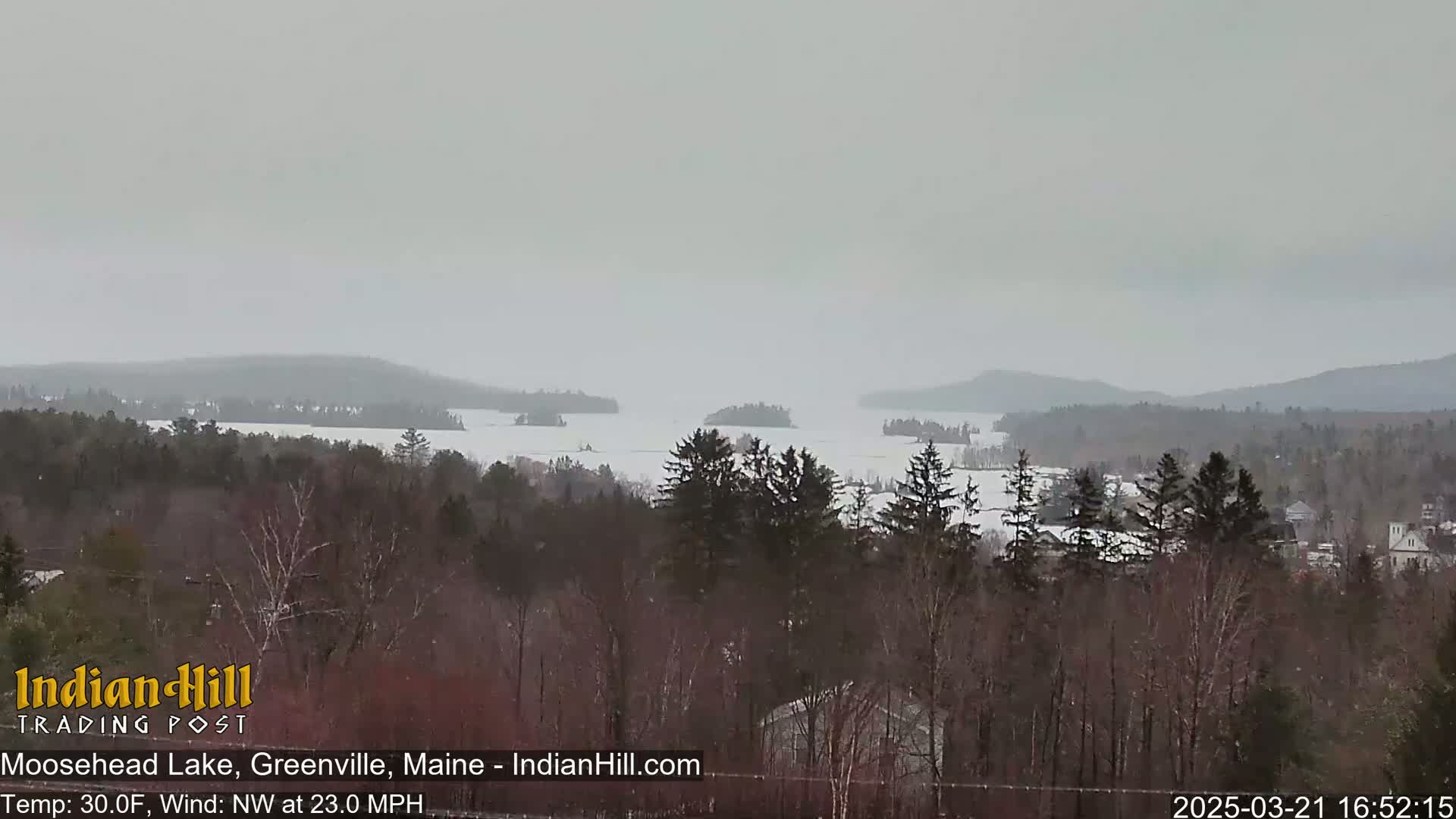 A snow-covered lake stretches to distant, snow-dusted hills under an overcast sky, with a forest of leafless trees in the foreground.