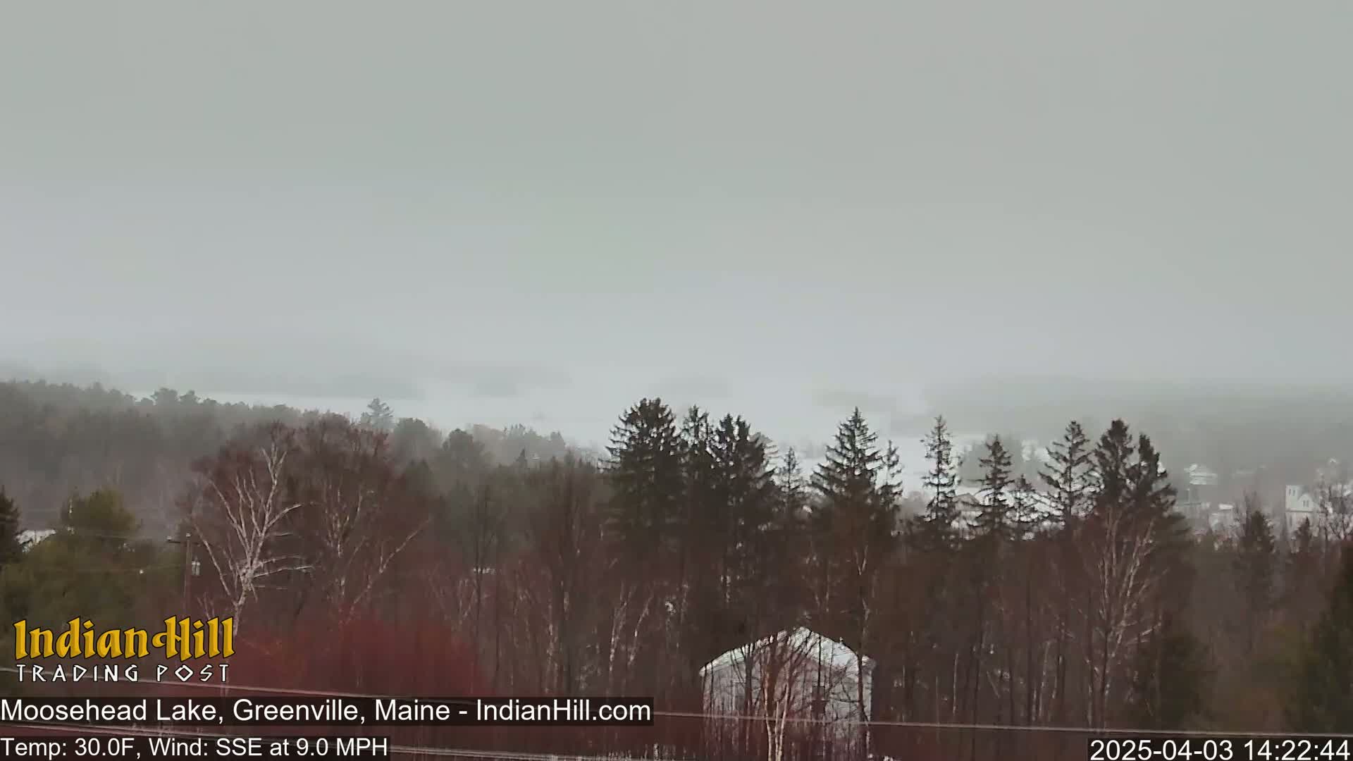 A hazy, snowy scene overlooks a lake and distant town, nestled amongst a line of leafless trees.