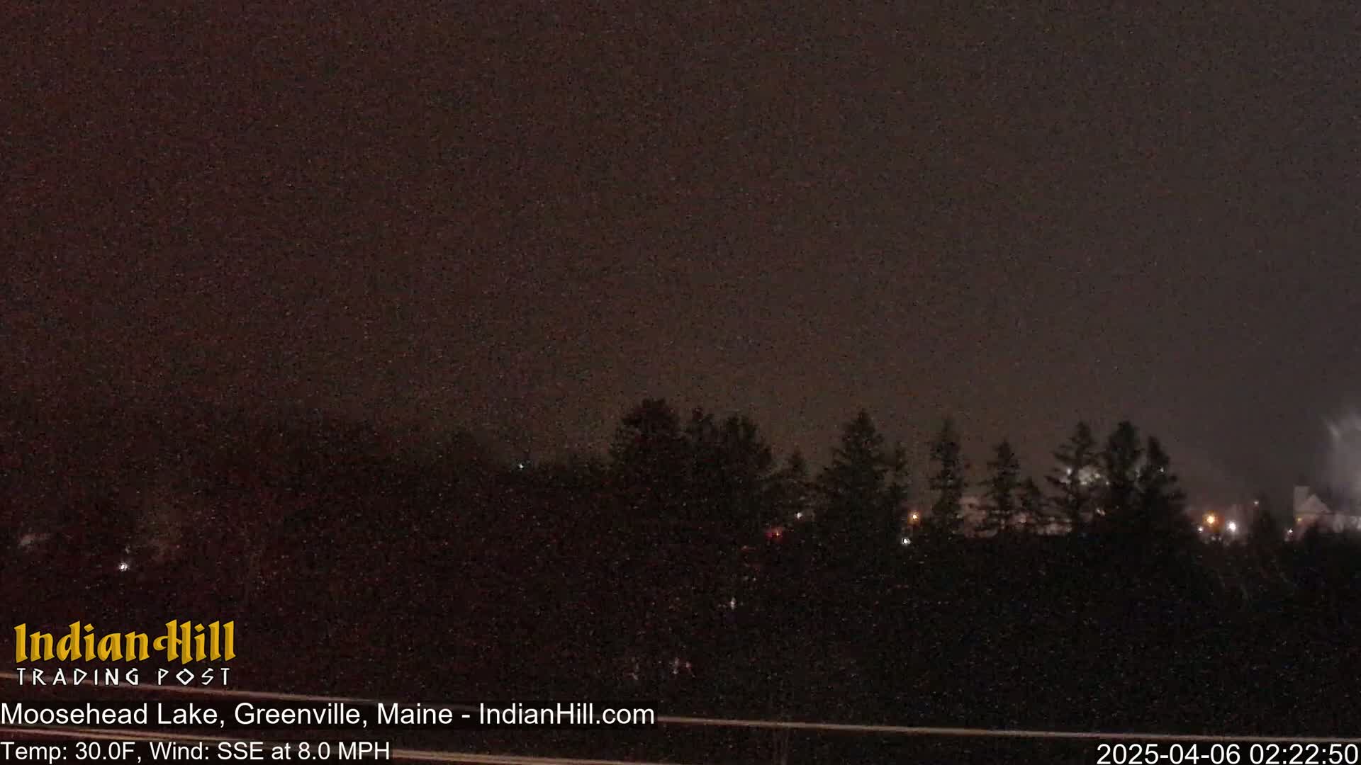 A nighttime view of dark trees under a lightly snowing, dark sky.
