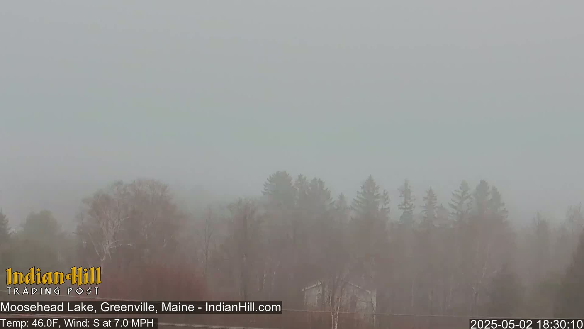 A foggy landscape shows a line of trees and a building in the distance.