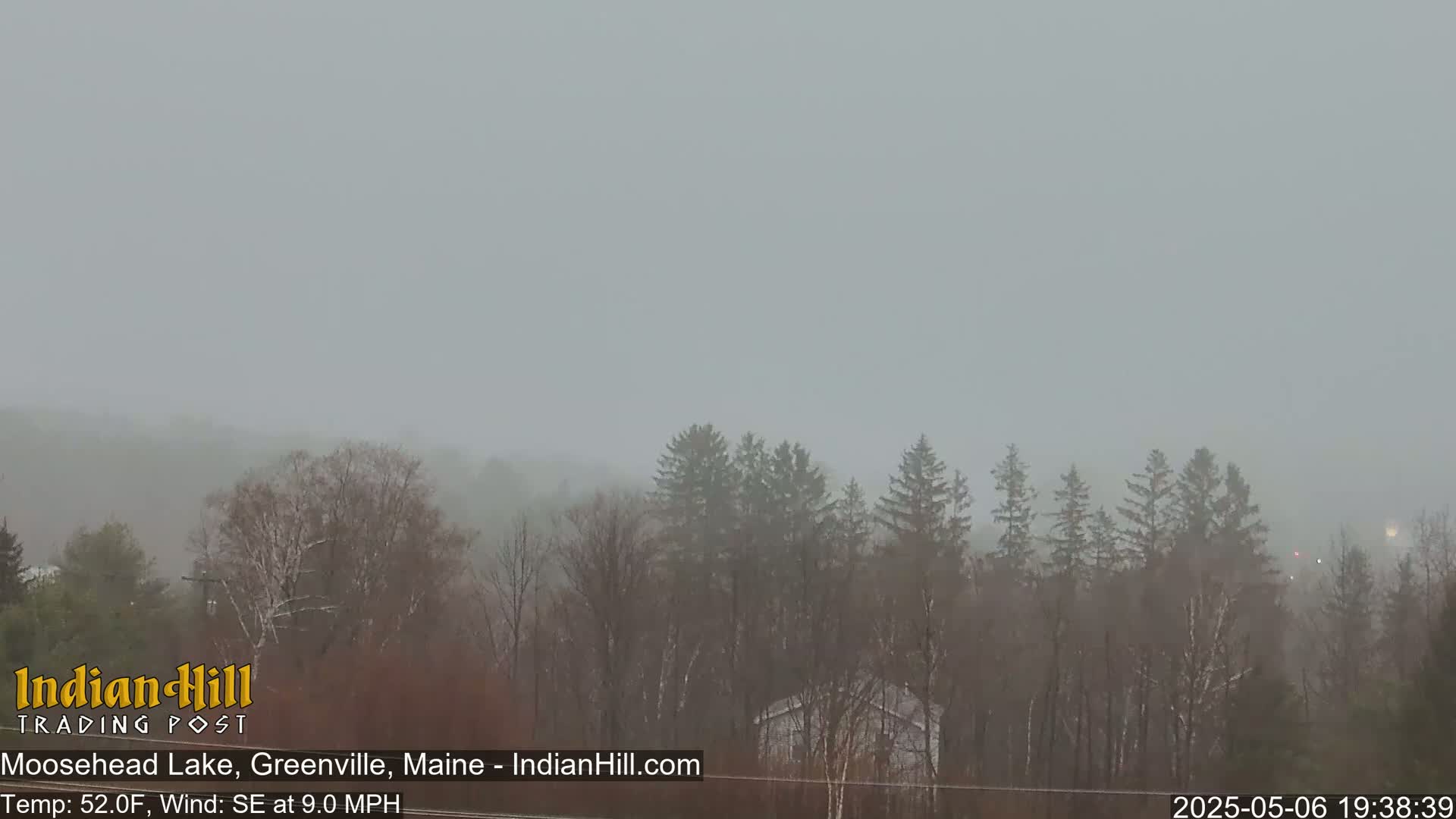 A misty, gray scene shows a line of trees and a house in the distance under a cloudy sky.