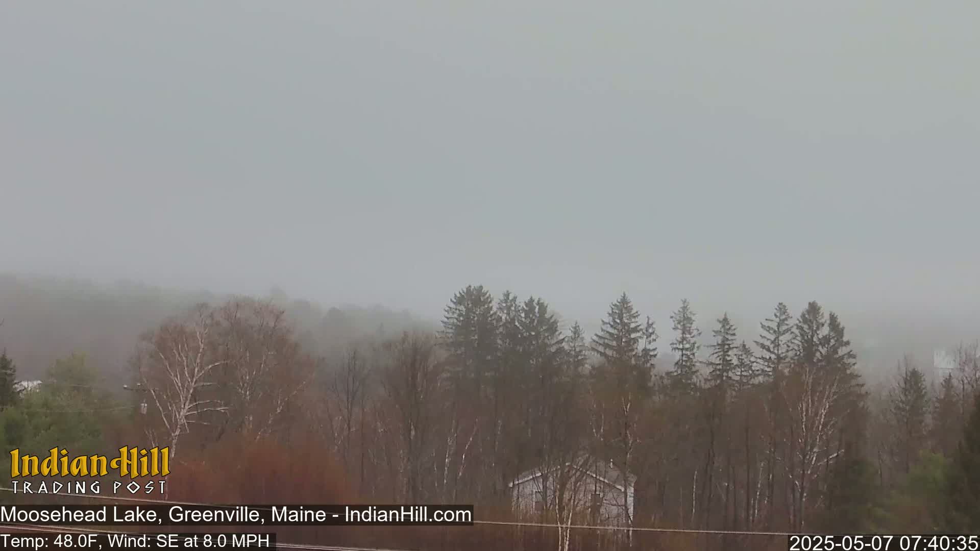 A hazy, overcast scene shows a line of evergreens and deciduous trees in the foreground with a house partially visible, and a hilly, wooded area in the background.
