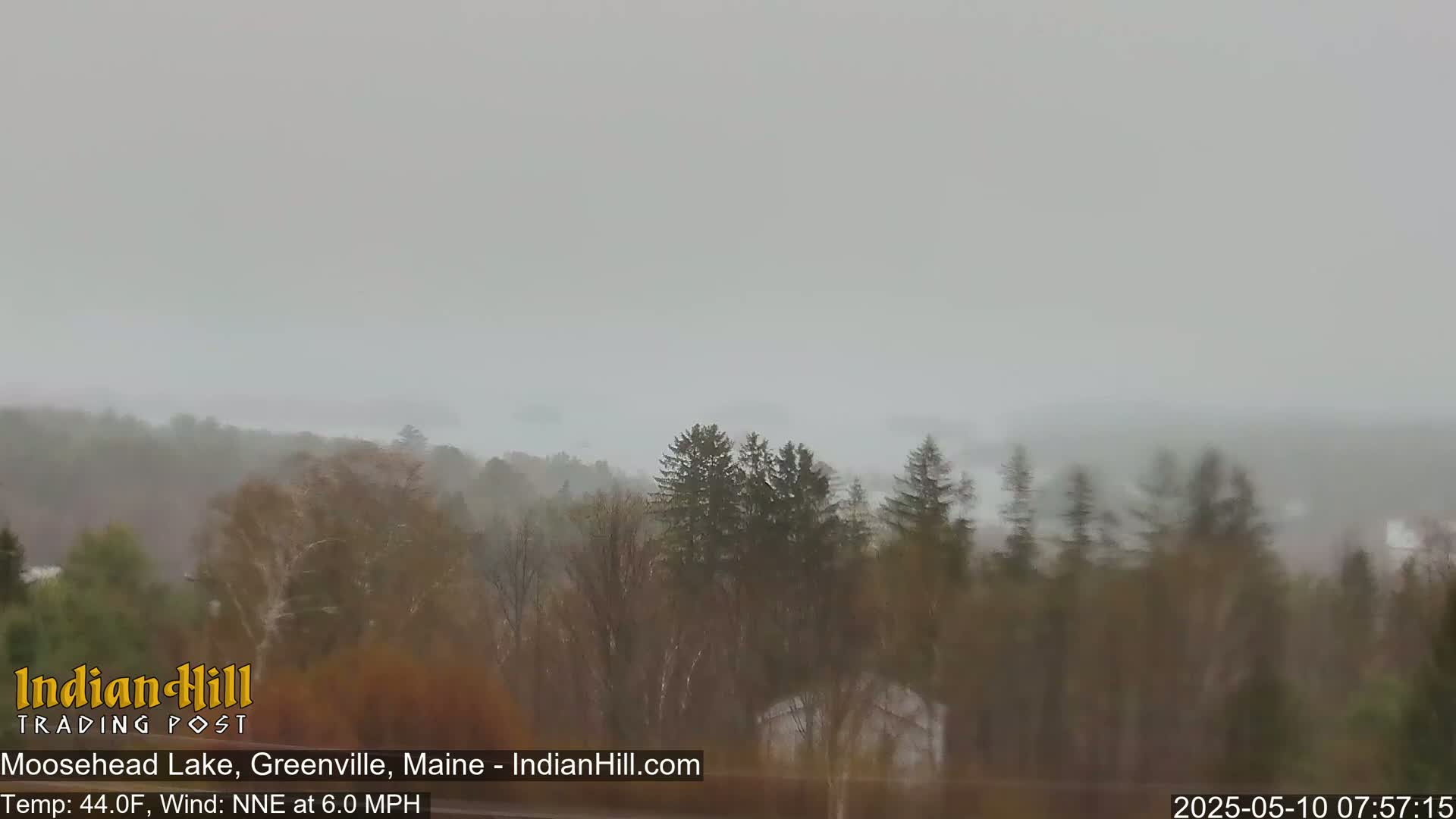 A hazy view of a lake and trees under an overcast sky.