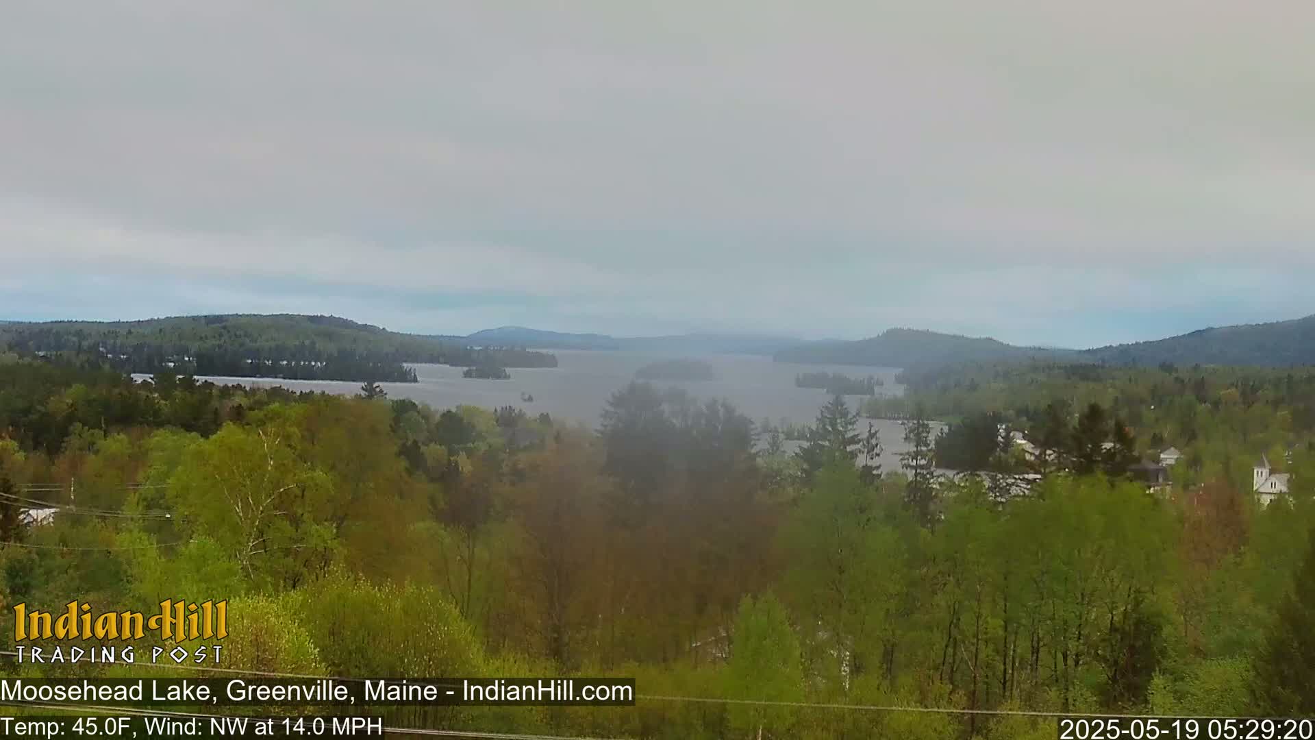 A hazy view of a large lake surrounded by lush green trees and distant mountains under an overcast sky.
