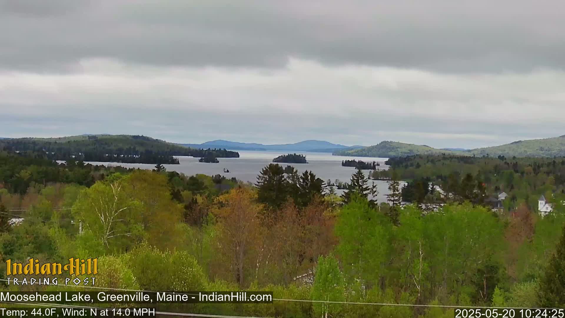 A view of a lake with several islands, surrounded by lush green trees under an overcast sky.