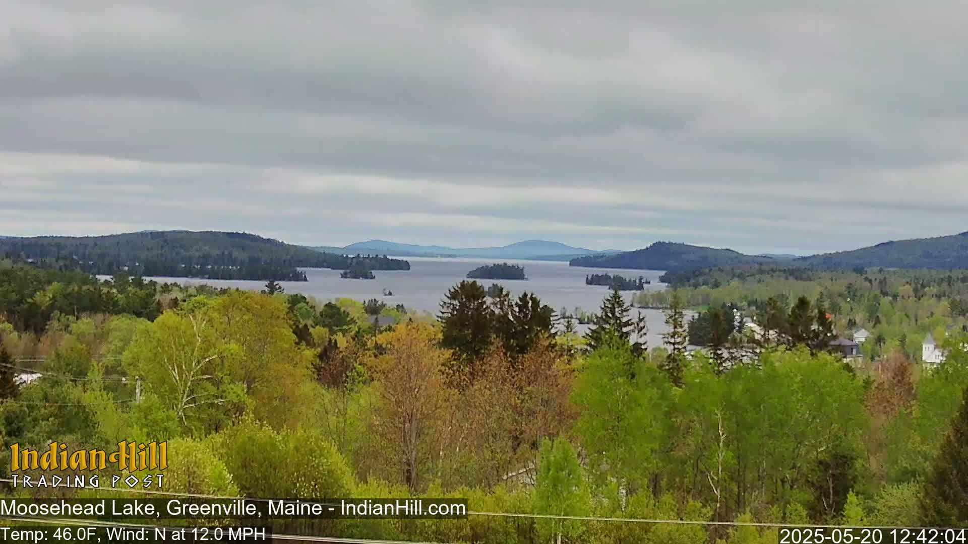 A view of a lake with several islands, surrounded by lush green trees under an overcast sky.