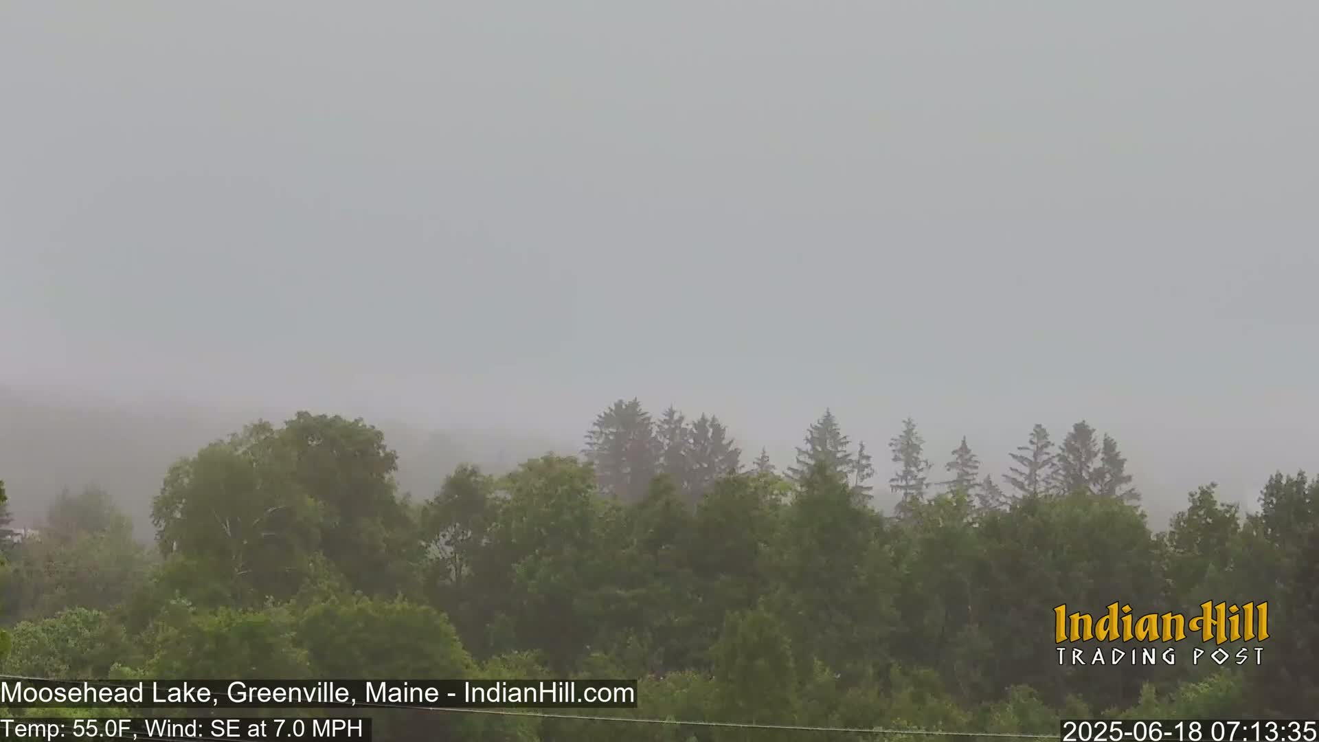A hazy, overcast sky hangs over a line of green trees in the rain.