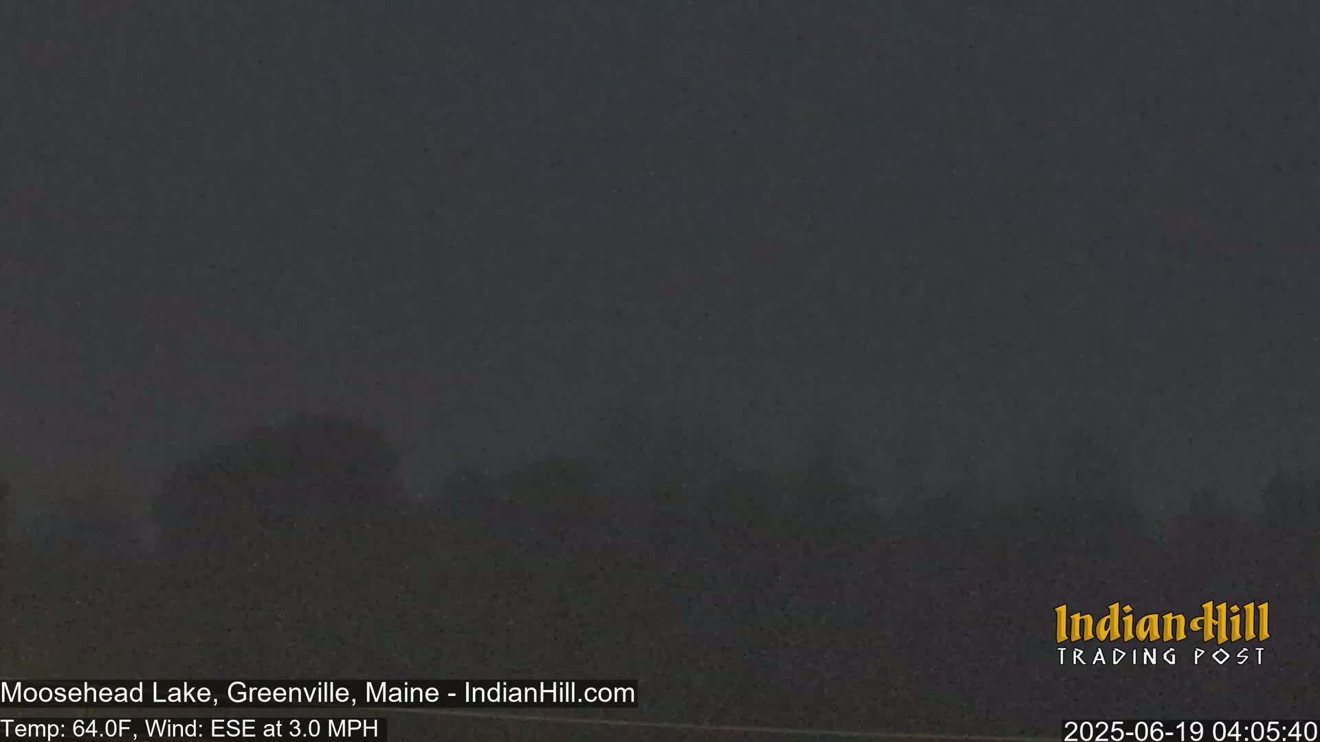 A dark, hazy view of a treeline is visible under a dusky sky.