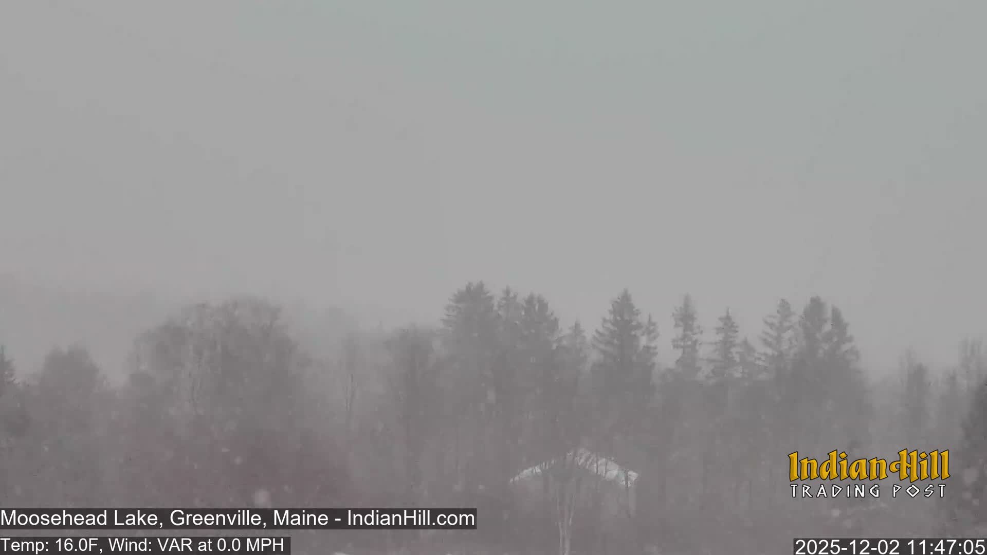 A winter landscape is depicted through heavily falling snow and an overcast grey sky, revealing a distant treeline of evergreens and bare deciduous trees, with a small snow-covered roof partially visible in the foreground.