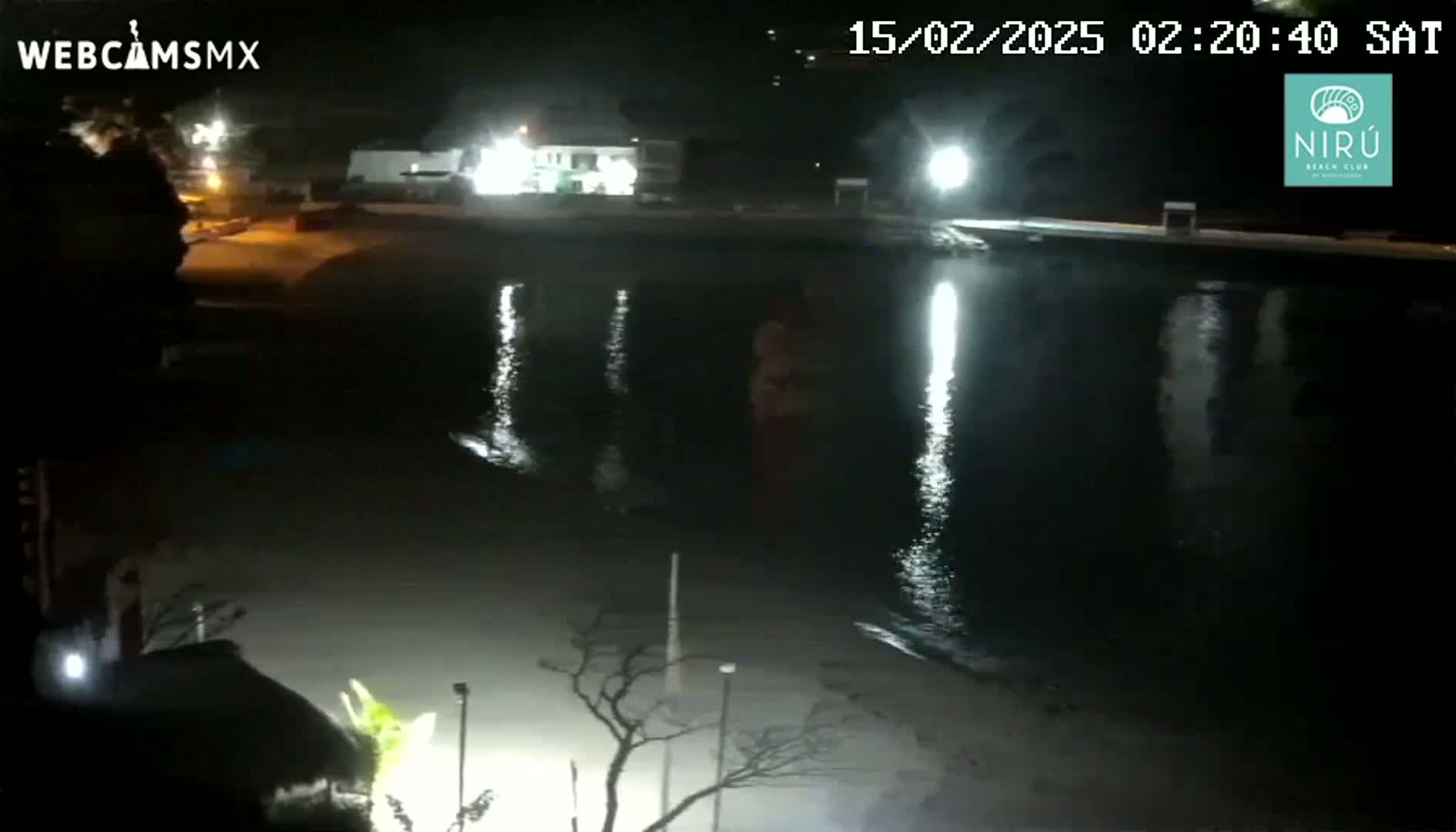 A nighttime view of a calm body of water reflecting lights from a nearby shore, with some trees and buildings visible in the background under clear skies.