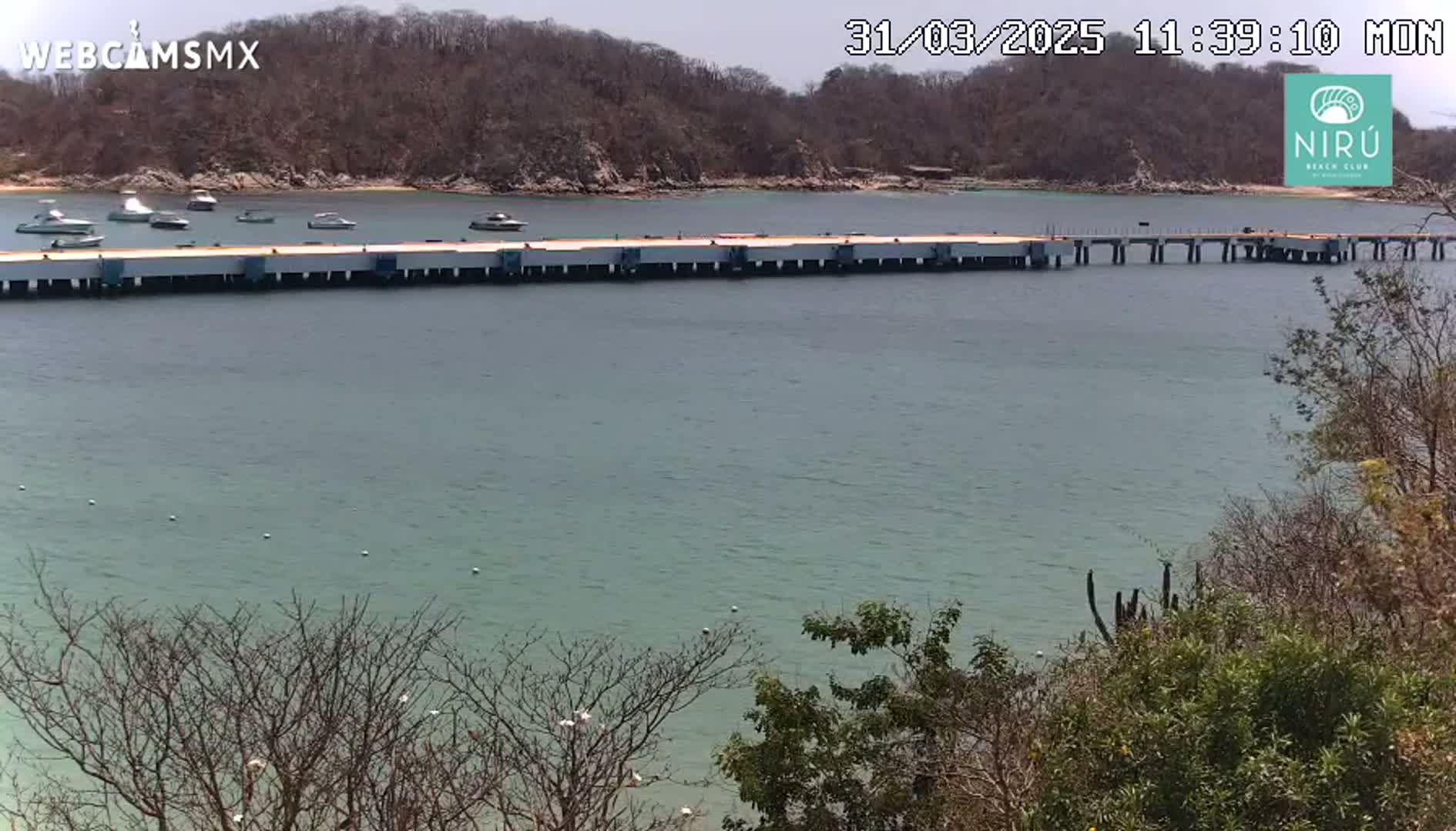 A long dock extends into calm, light-green water, lined with several boats, and surrounded by a shoreline with sparse, dry-looking vegetation under a mostly clear sky.