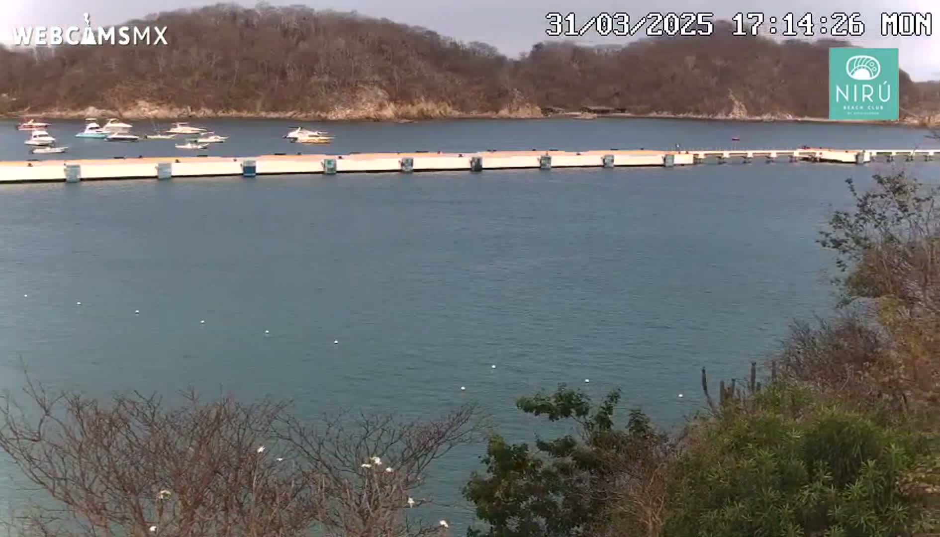 A long, light-colored dock extends into a calm body of water, surrounded by boats and a hilly, sparsely vegetated shoreline.