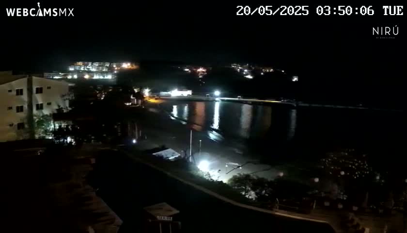 A nighttime view of a calm body of water reflecting lights from buildings and a shoreline with some vegetation.