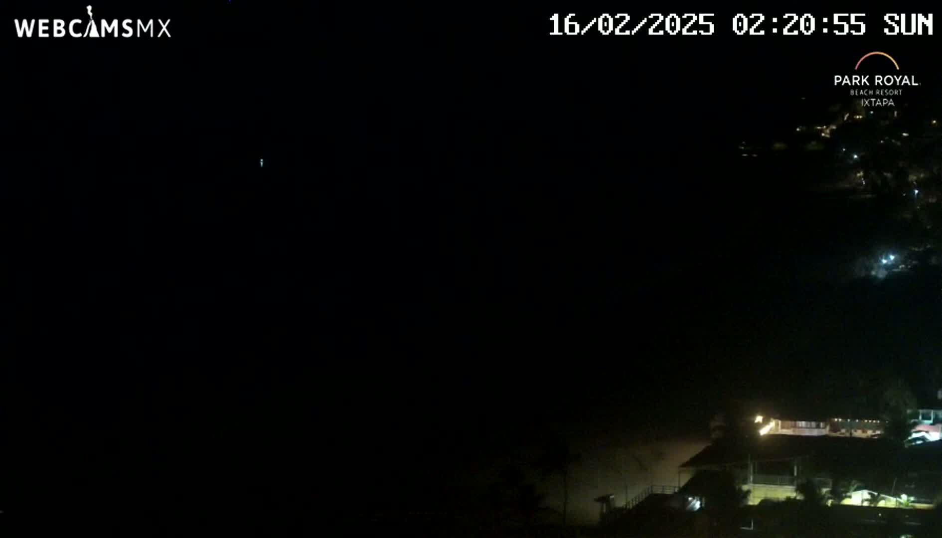 A nighttime, dark view of a coastline with dimly lit buildings and a beach visible in the distance under a clear sky.