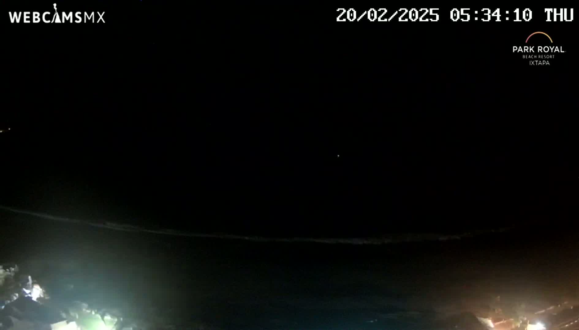 A nighttime view of a dark ocean shore with faint lights visible in the distance under a clear, dark sky.