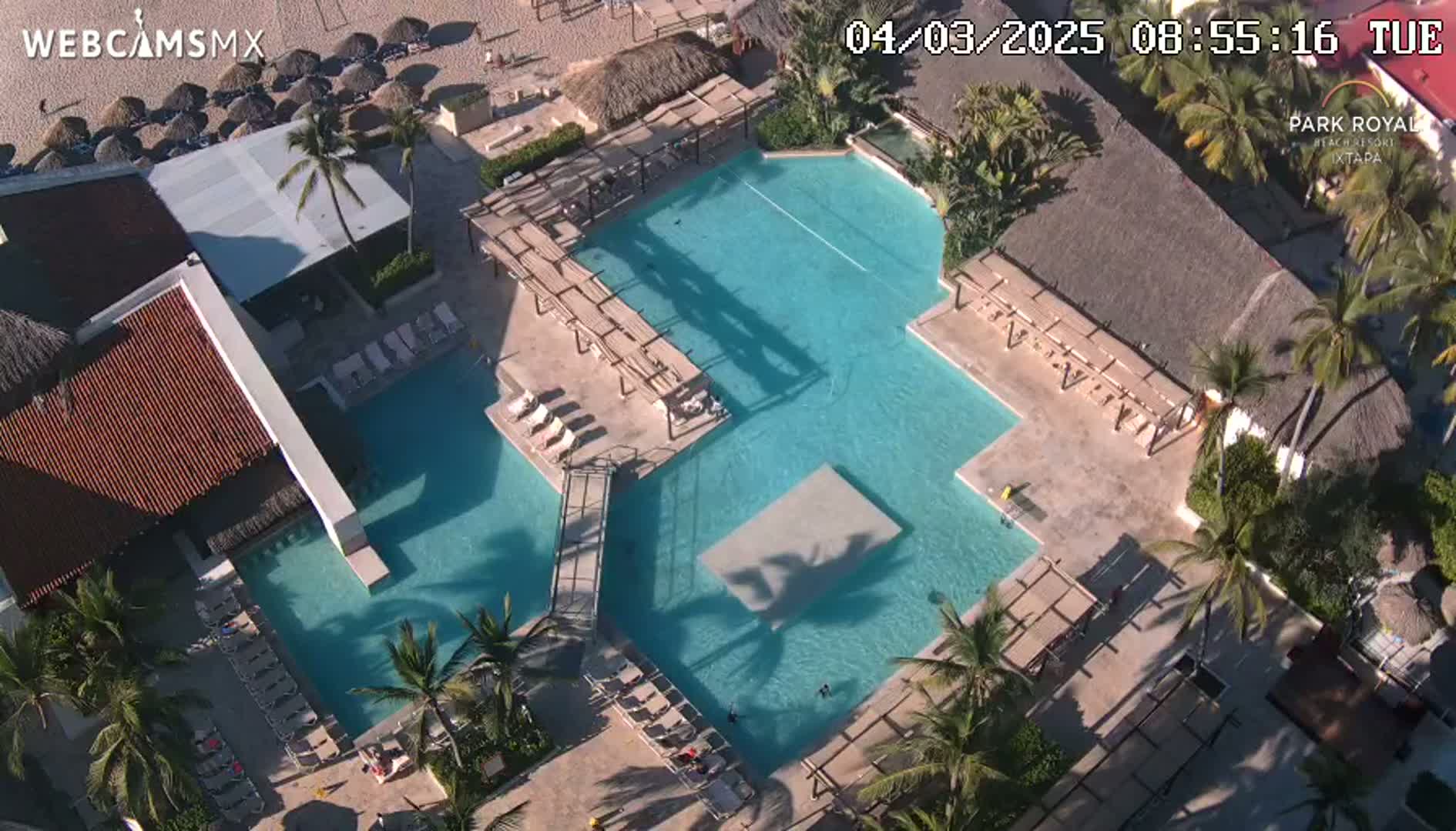 An aerial view shows a large, multi-level resort pool complex surrounded by palm trees on a sunny day.