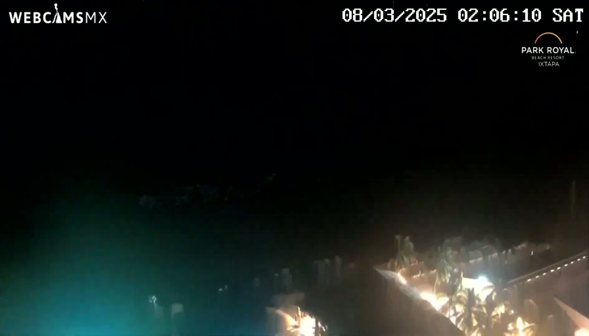 A nighttime, dark view of a resort area with palm trees illuminated by lights.
