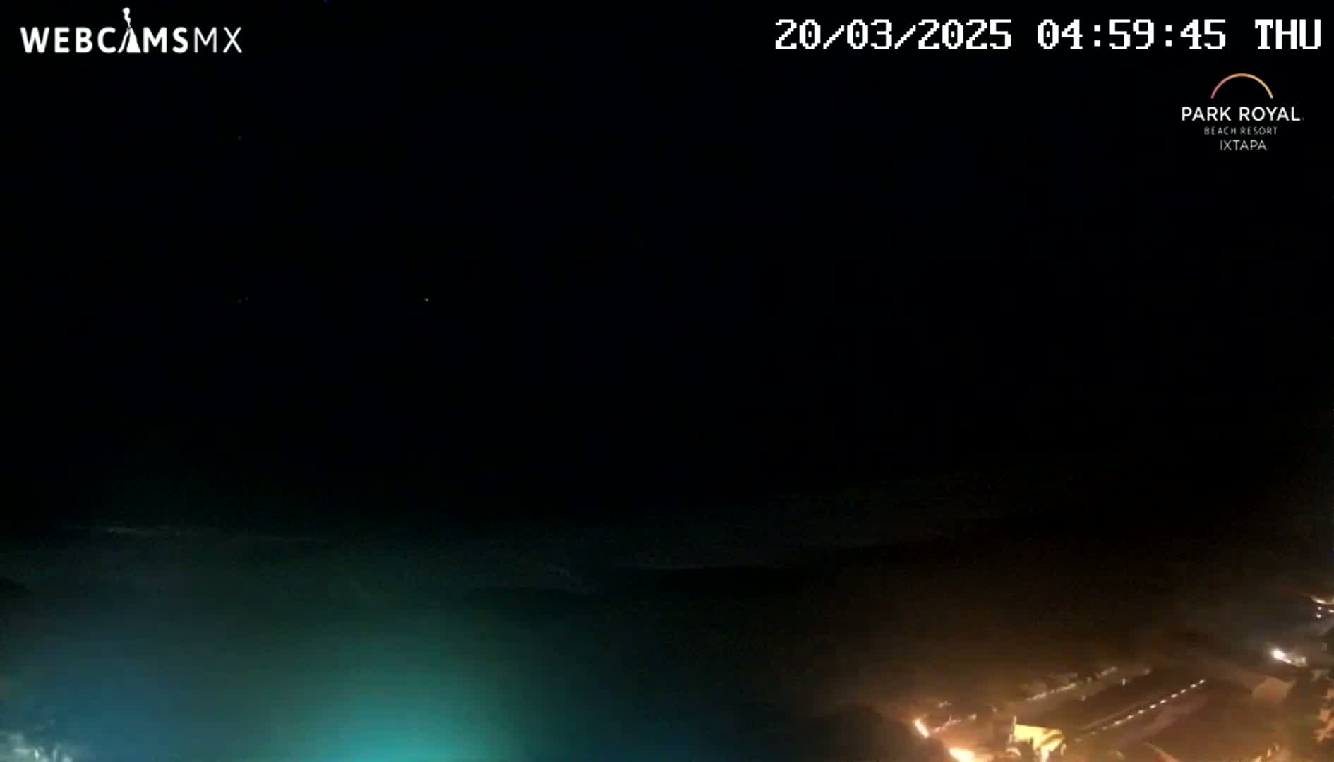 A nighttime view of a dark ocean with a teal glow near the shore and dimly lit buildings along the coast under a clear, dark sky.