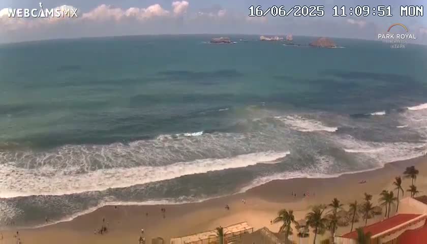 An ocean beach with moderate waves under a partly cloudy sky is viewed from an elevated position, showing palm trees and buildings in the foreground.