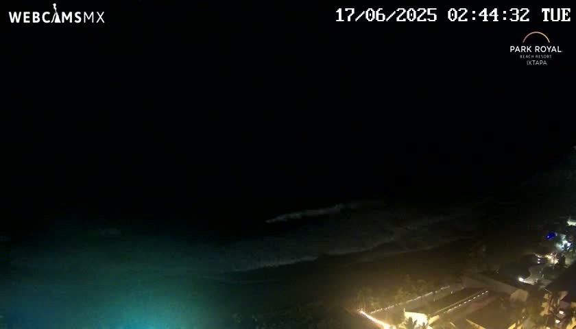 A nighttime, high-angle view shows dark ocean waves lapping a shore with illuminated buildings and vegetation.