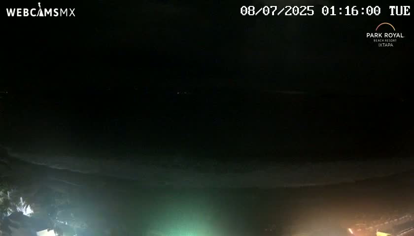 A nighttime, dark view of a beach and ocean, dimly lit by artificial lights.