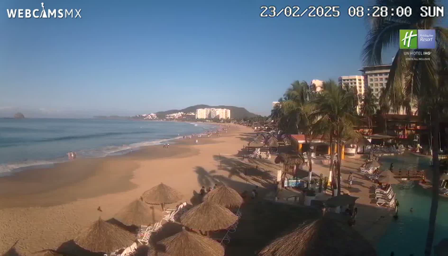 A sandy beach with calm waves, palm trees, and beach umbrellas stretches along a coastline, under a clear blue sky, with hotels and buildings in the background.