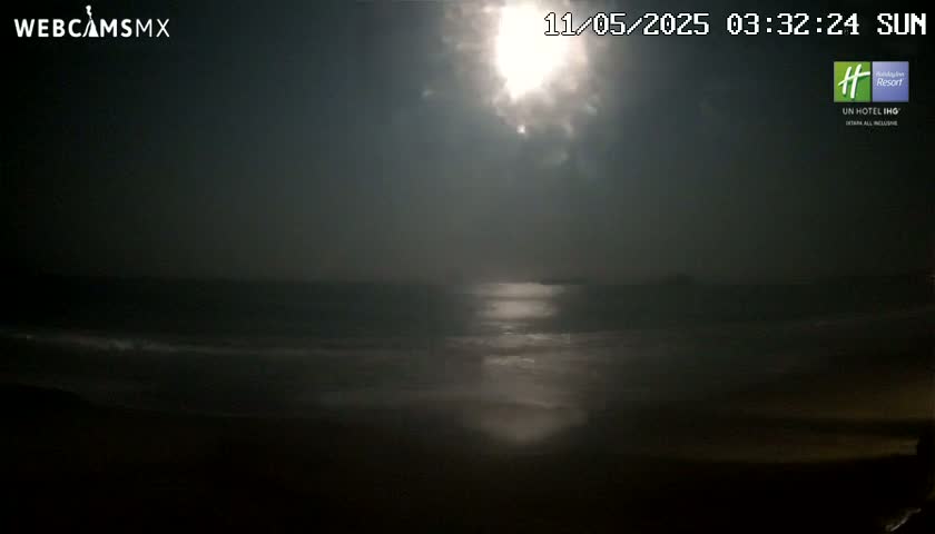 A bright moon shines over a dark ocean with gentle waves on a nighttime beach.
