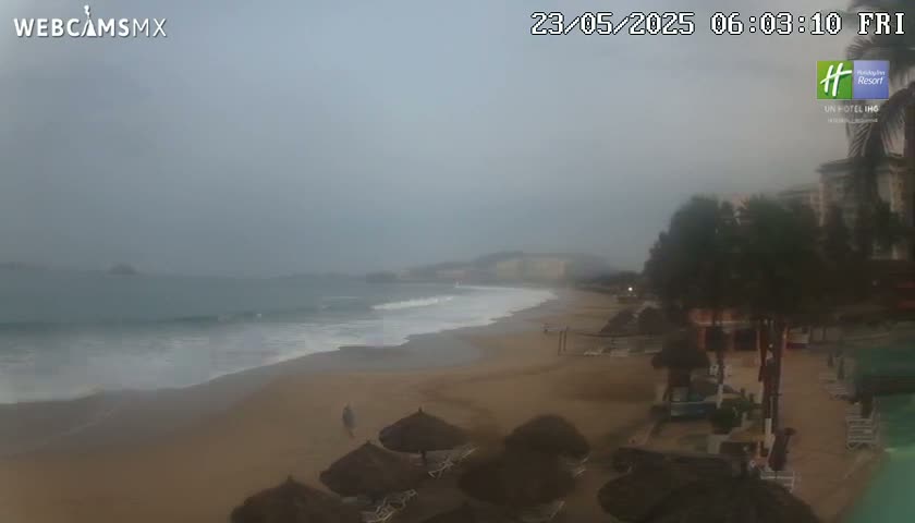 A hazy, overcast day reveals a beach scene with gentle waves lapping a sandy shore, featuring palm trees and beach umbrellas near resort buildings.