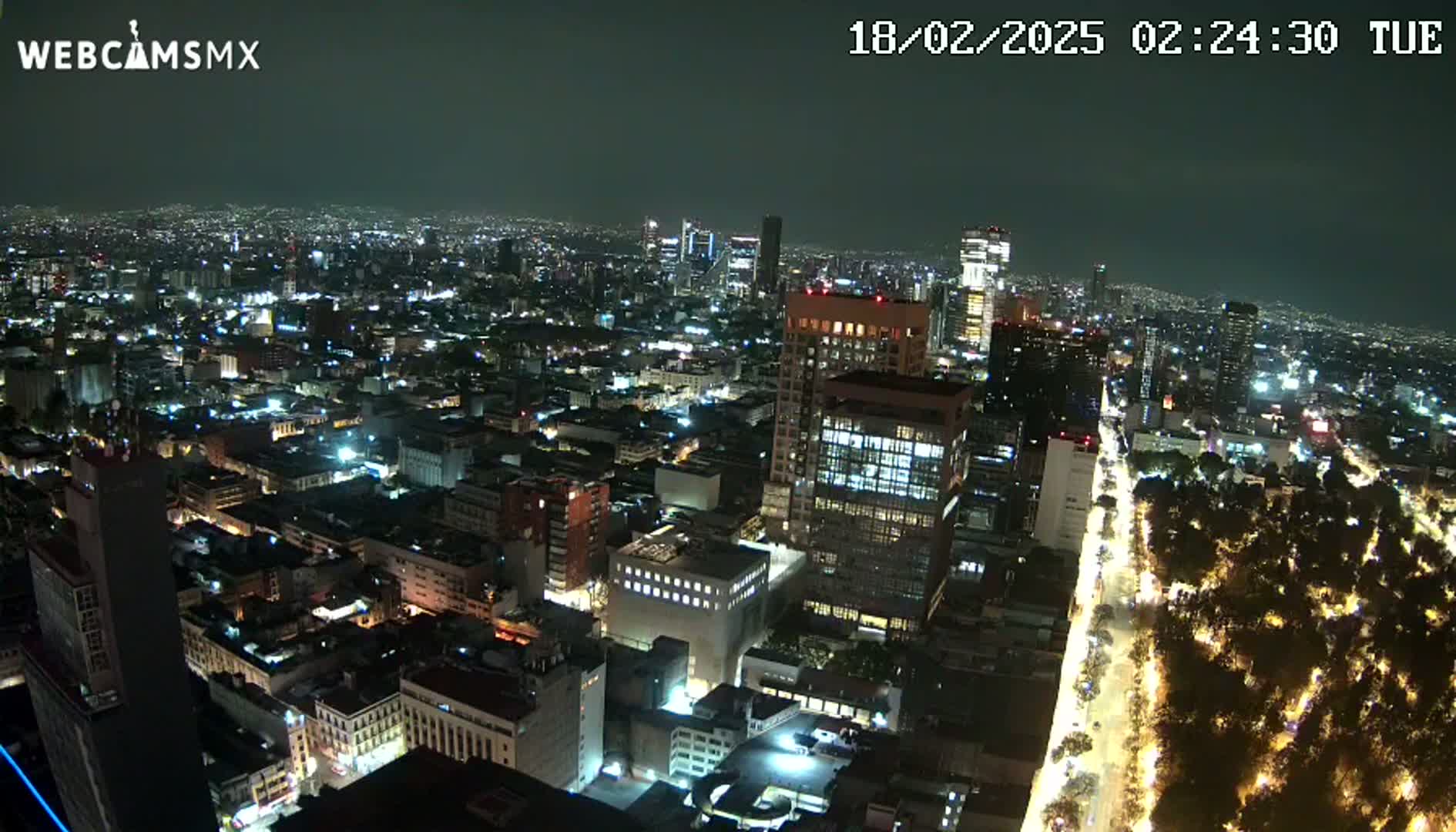 A nighttime, high-angle view of a sprawling city, illuminated by lights, with a wide avenue and a large park visible in the foreground.