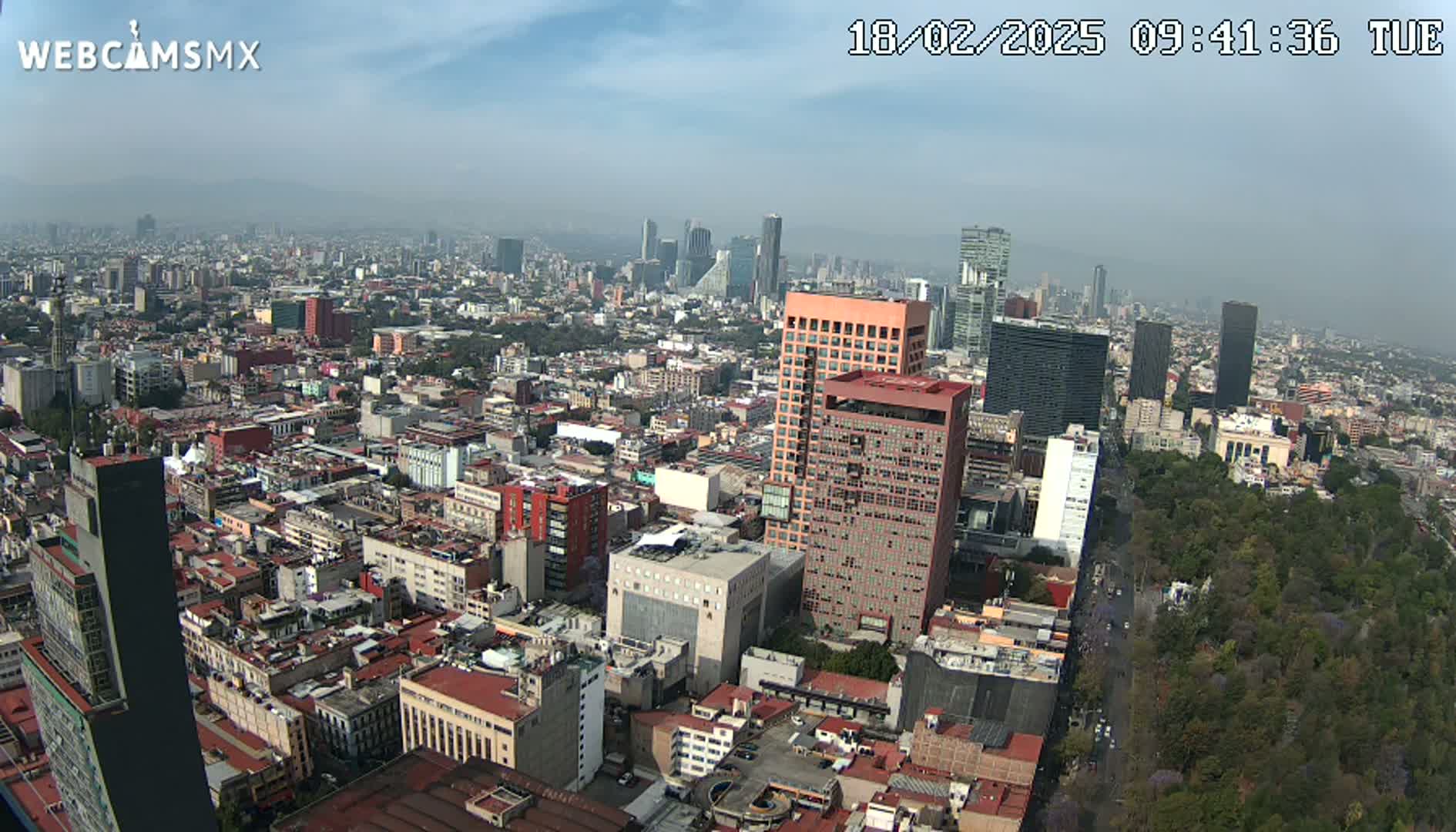 A hazy, high-angle view of a sprawling city with numerous buildings of varying heights, including several tall skyscrapers, and a large expanse of green parkland.