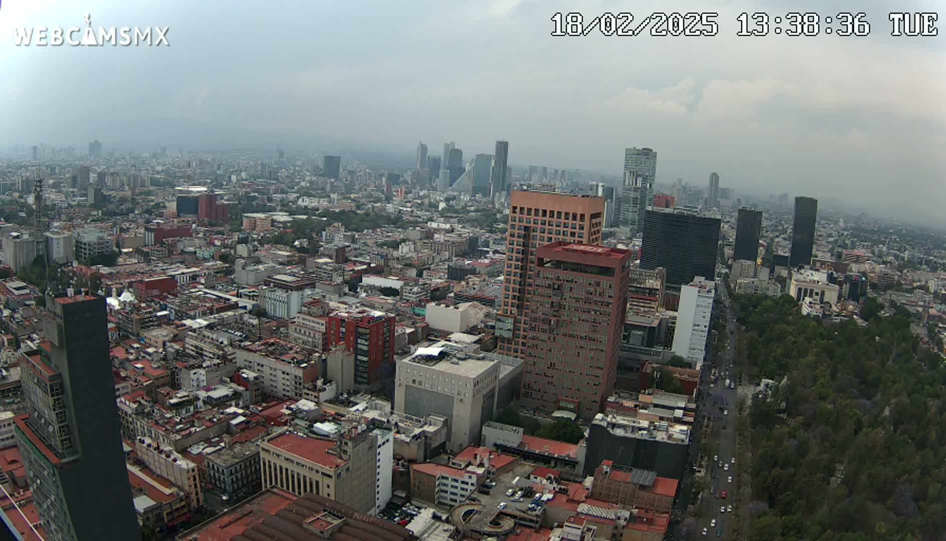 A hazy, overcast day reveals an expansive cityscape with numerous high-rise buildings and a long, tree-lined avenue.