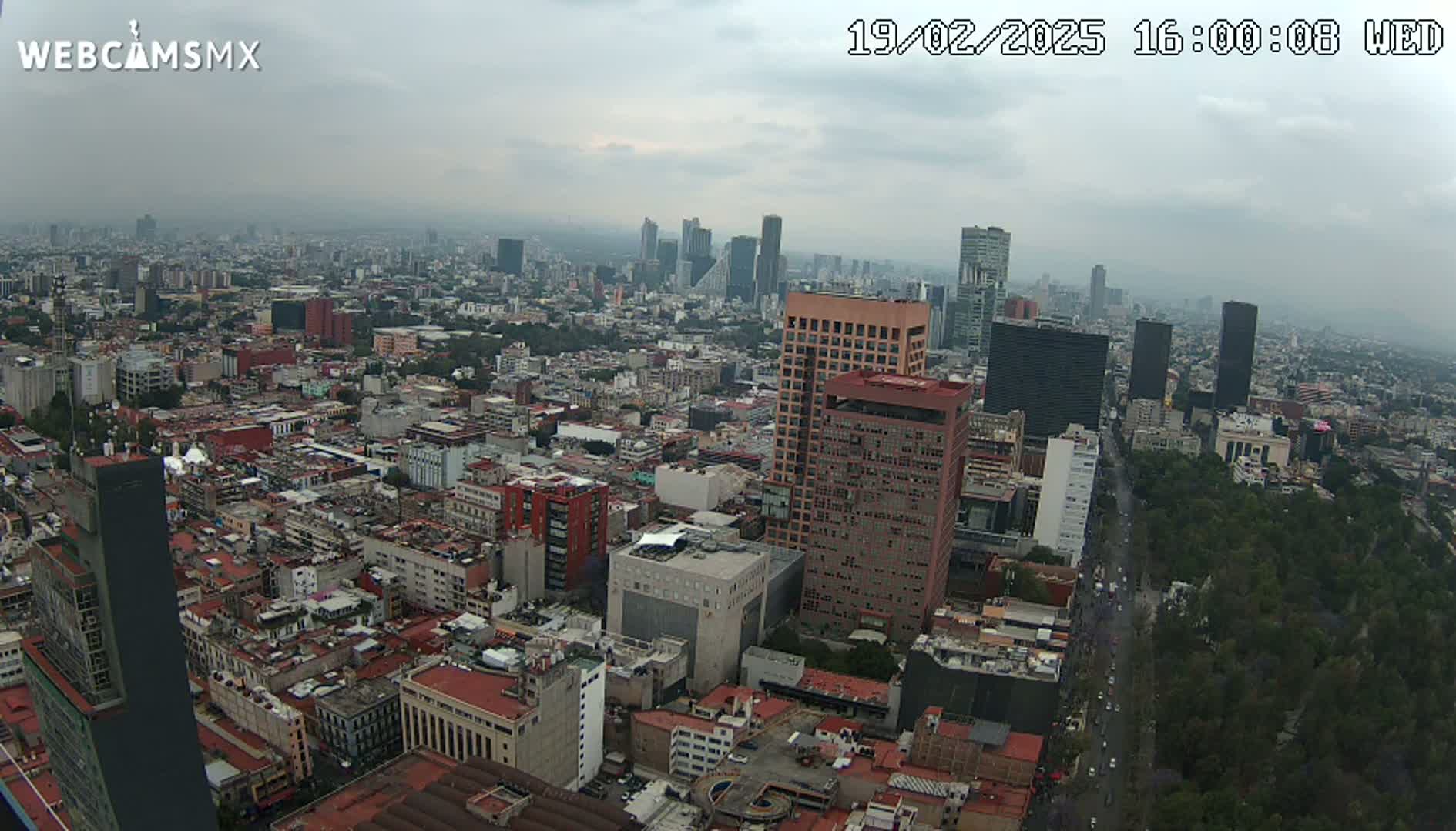 A high-angle, long shot of a sprawling city under an overcast sky, showing numerous buildings and a long, tree-lined avenue.
