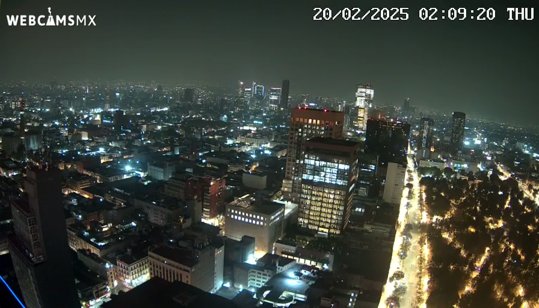 A nighttime aerial view of a city, showing brightly lit buildings and streets, with a tree-lined avenue visible in the lower right.