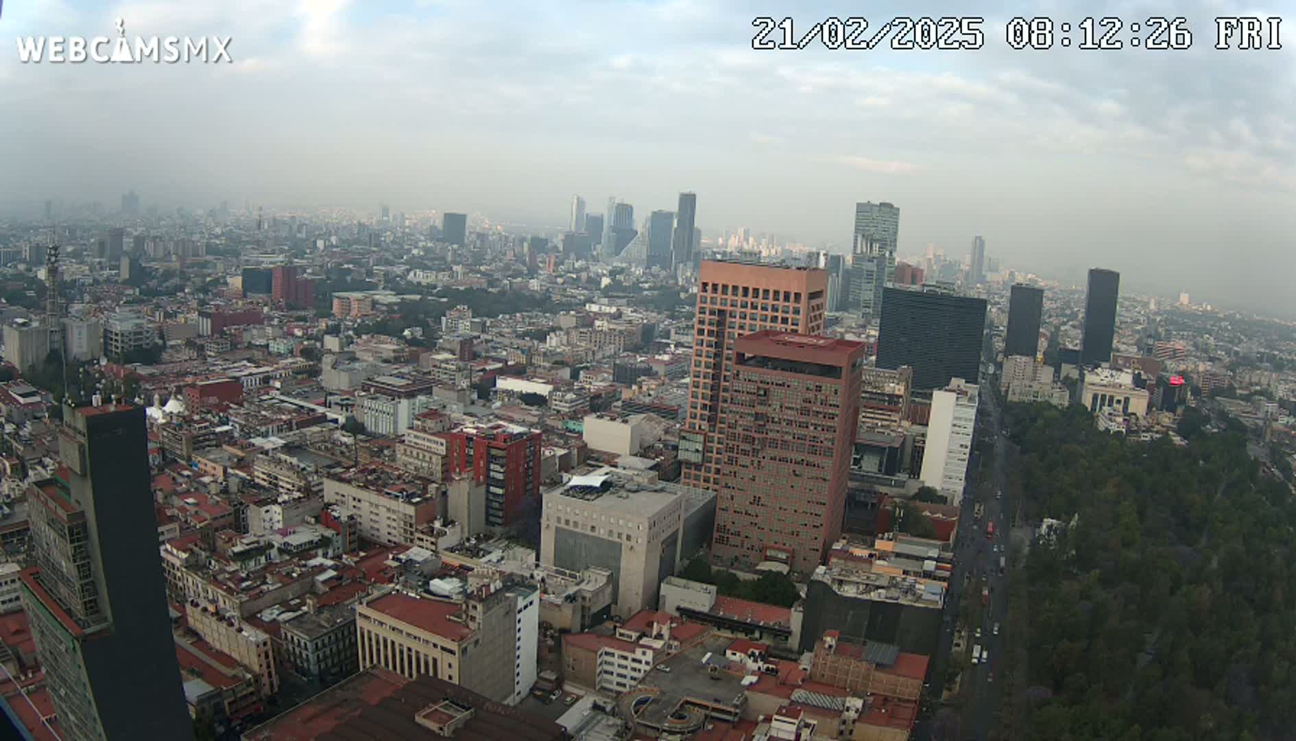 A hazy, high-angle view of a sprawling city, showing numerous buildings of varying heights and a large park along a wide avenue.