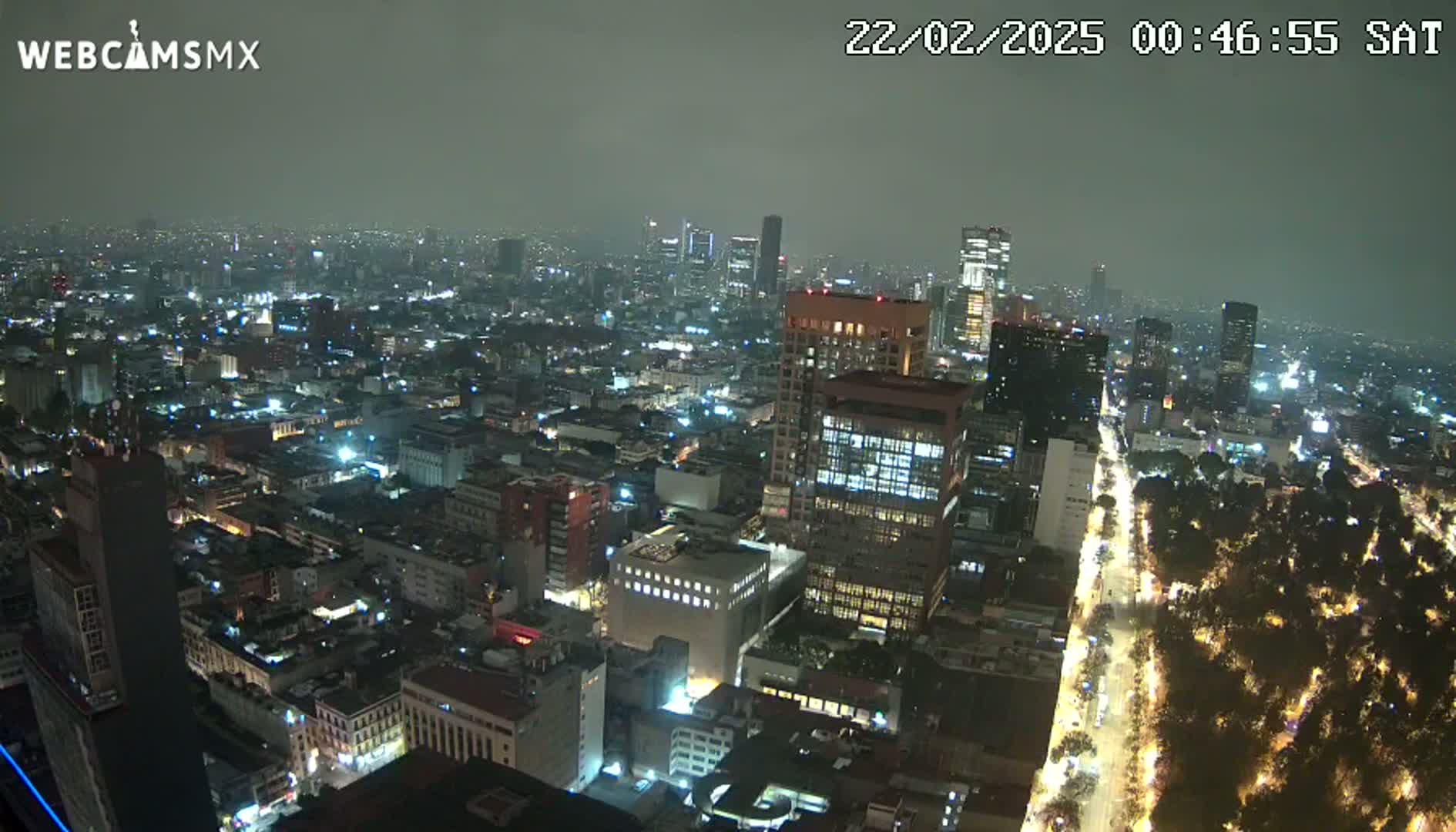 A nighttime, hazy view of a sprawling city with numerous illuminated buildings and streets, stretching to the horizon.