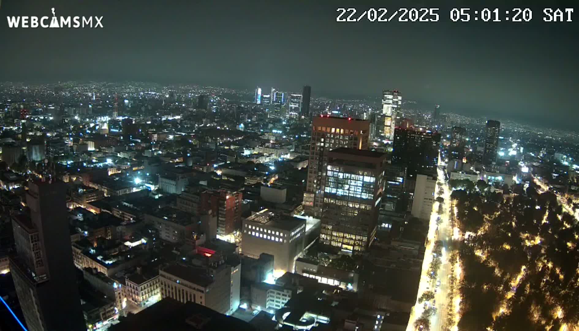 A nighttime aerial view of a sprawling city, with illuminated buildings and streets, and a long, tree-lined avenue.