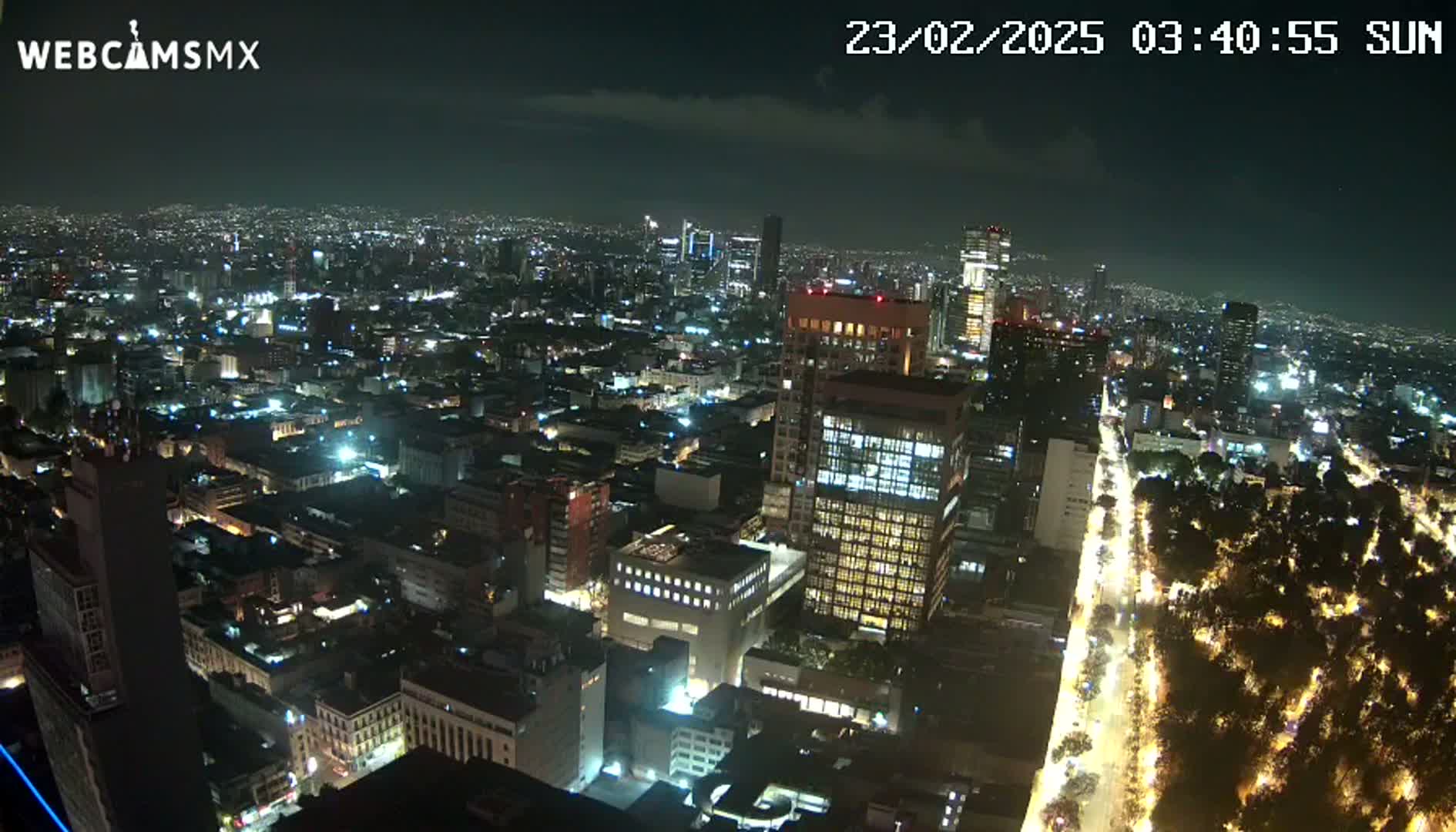 A nighttime aerial view of a city shows brightly lit buildings and streets, with a dark, tree-lined avenue cutting through the urban landscape.