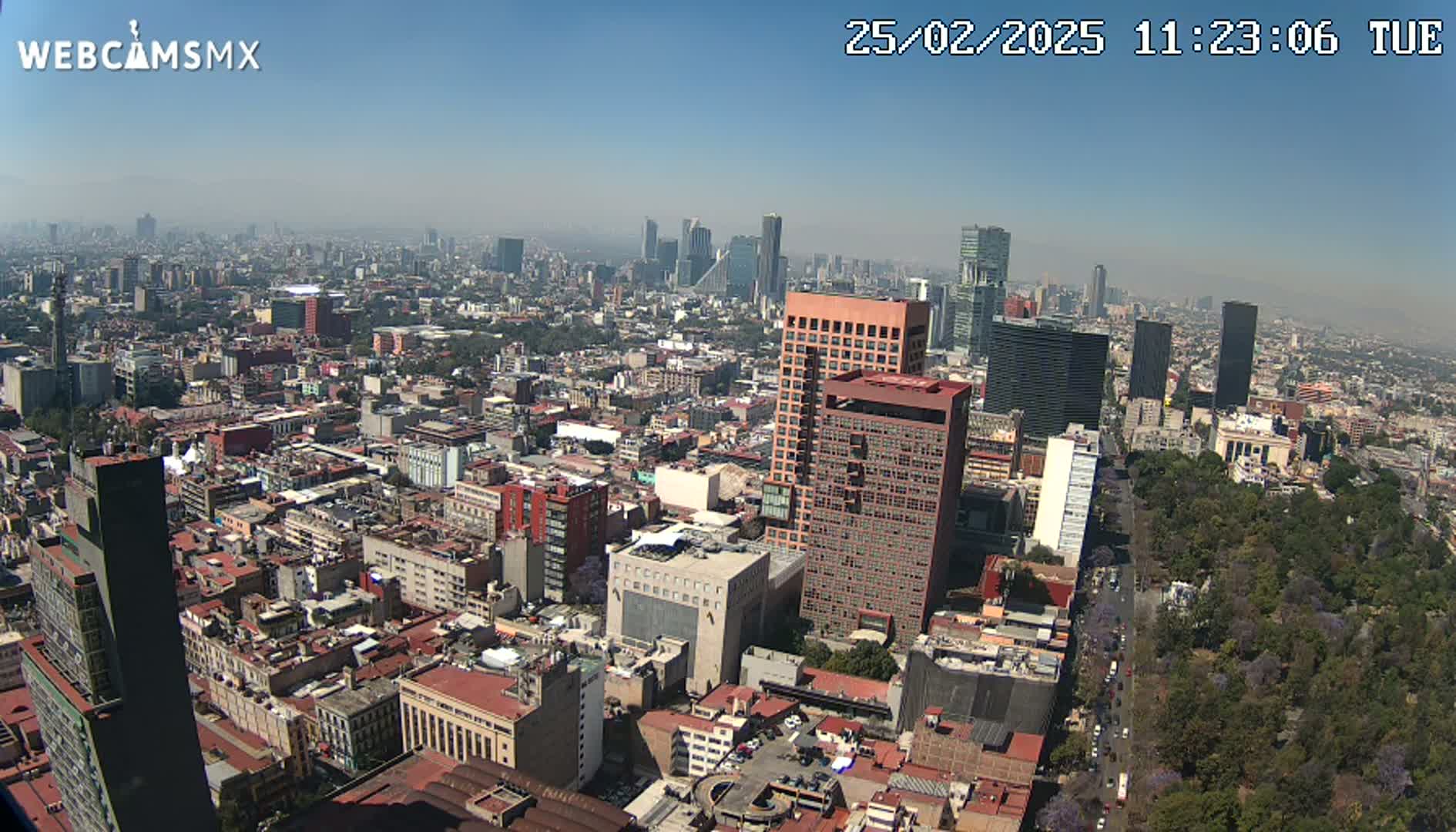 A hazy, sunny day reveals a sprawling cityscape with numerous buildings of varying heights, including skyscrapers, interspersed with green parkland.