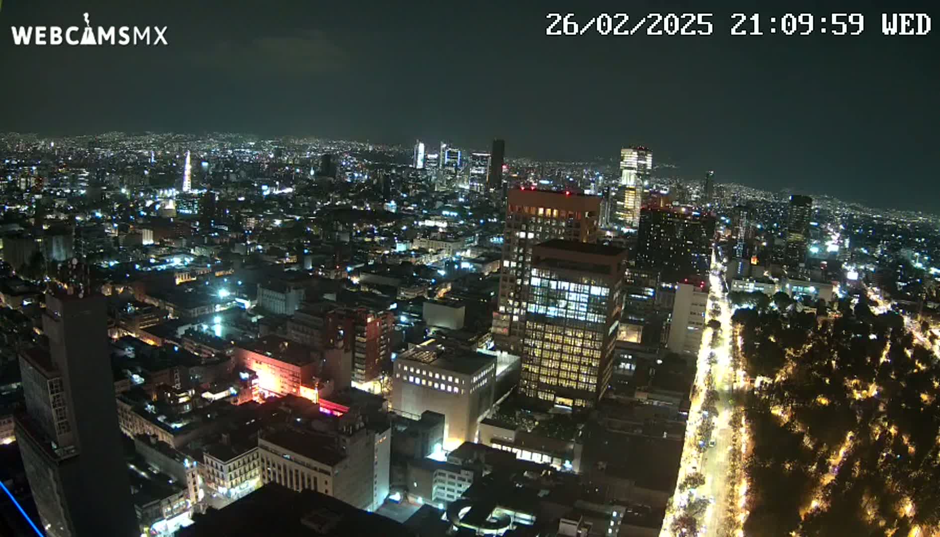A nighttime aerial view of a sprawling city with brightly lit buildings and streets, surrounded by darker areas of parkland.