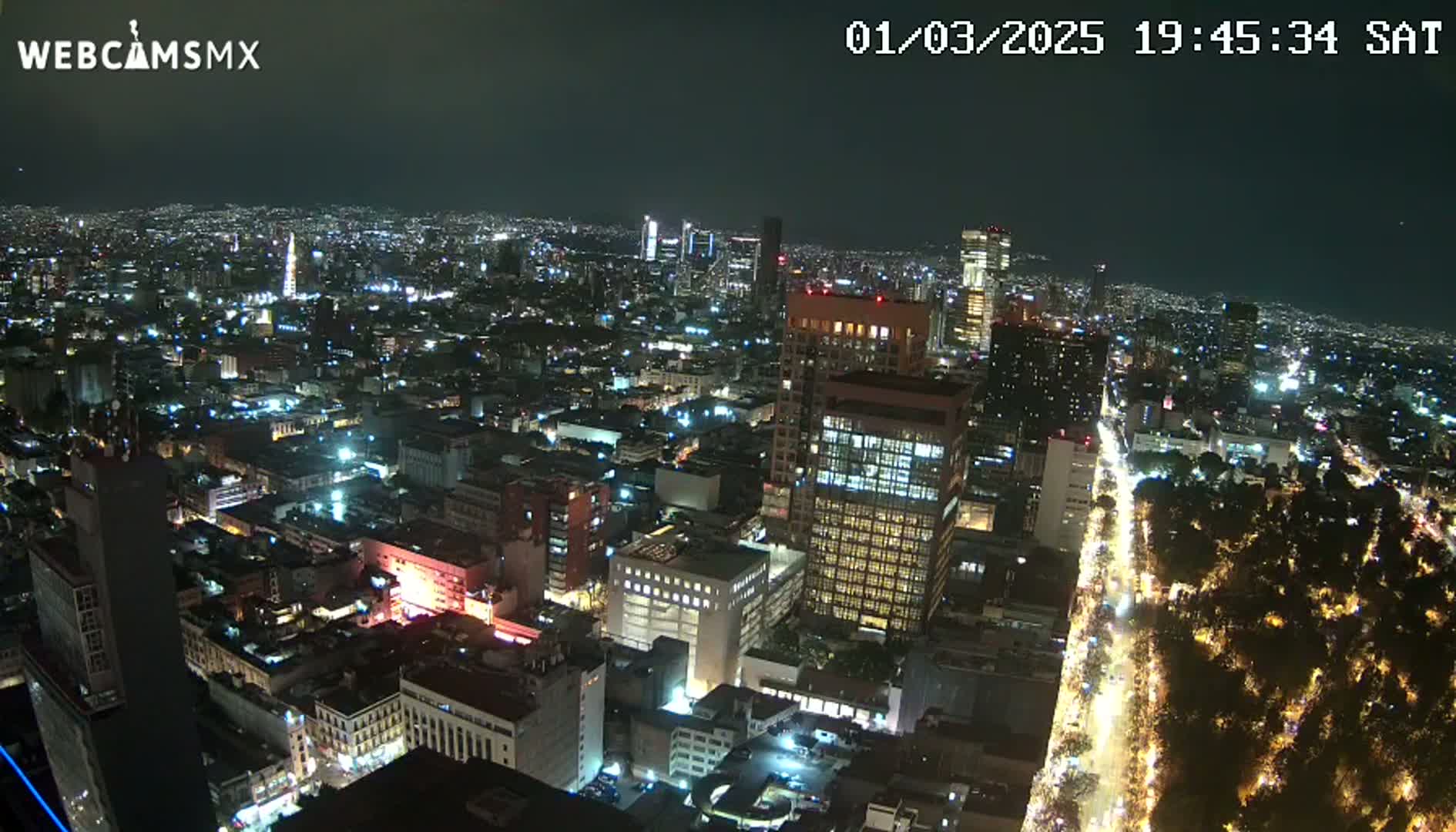 A nighttime, high-angle view of a sprawling city with brightly lit buildings and streets, showing a large park area with illuminated trees.