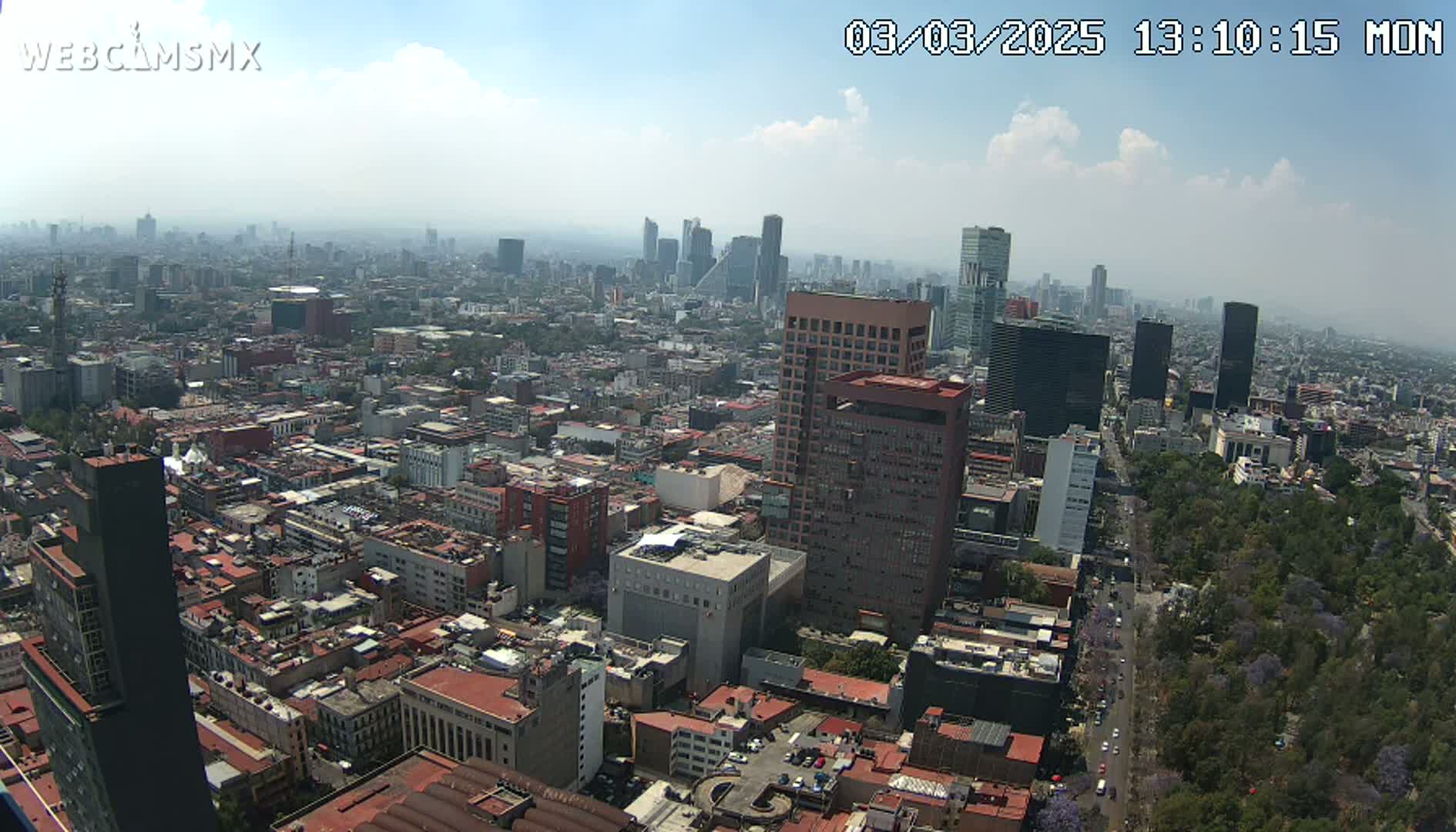 A hazy, sunny day view overlooking a dense cityscape with numerous high-rise buildings and a large park with purple trees.
