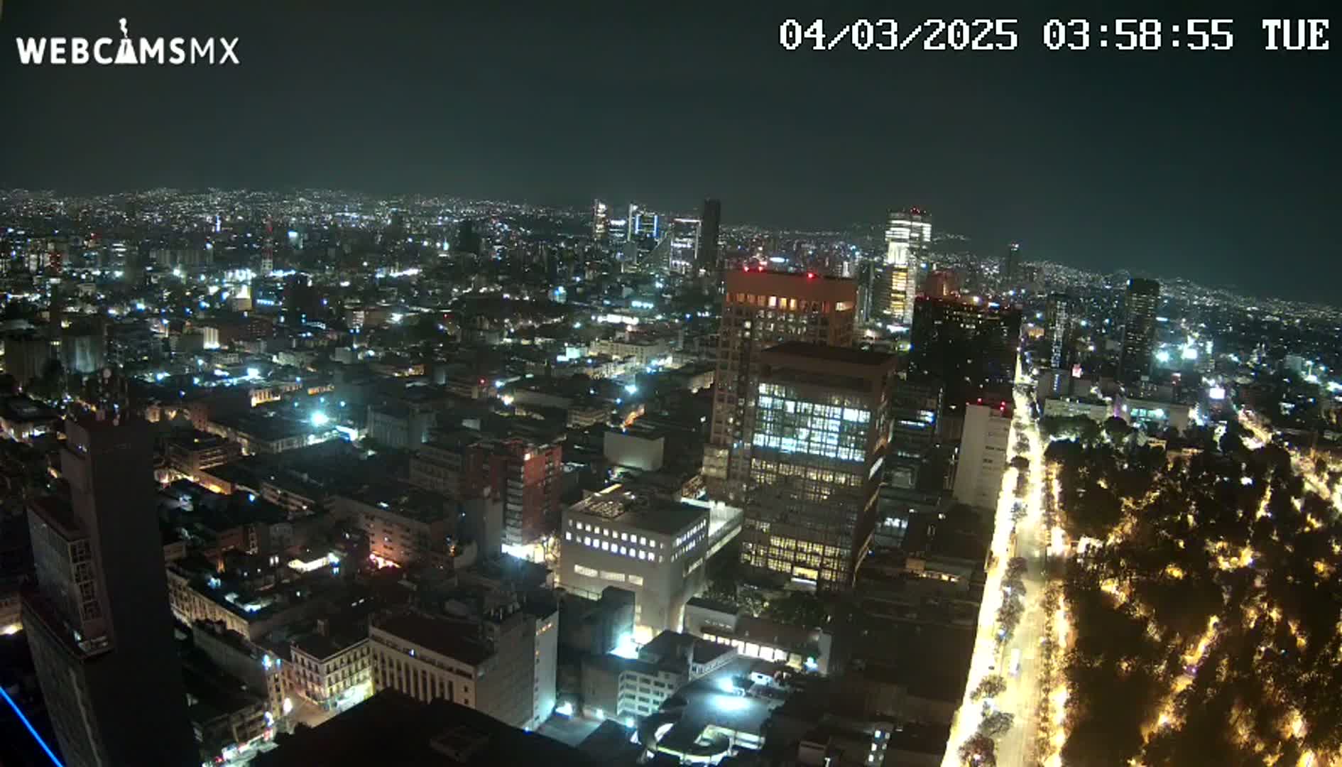 A nighttime aerial view of a city illuminated by numerous lights, showing a vast expanse of buildings and streets, with a large park visible along a main road.