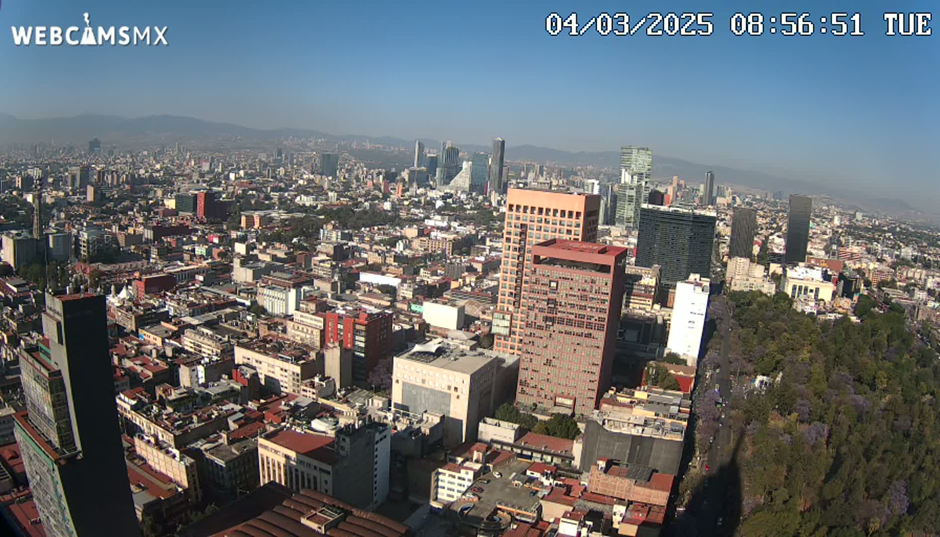 A high-angle, long shot of a sprawling city on a clear, sunny day, showing numerous buildings of varying heights and a large park with purple trees.