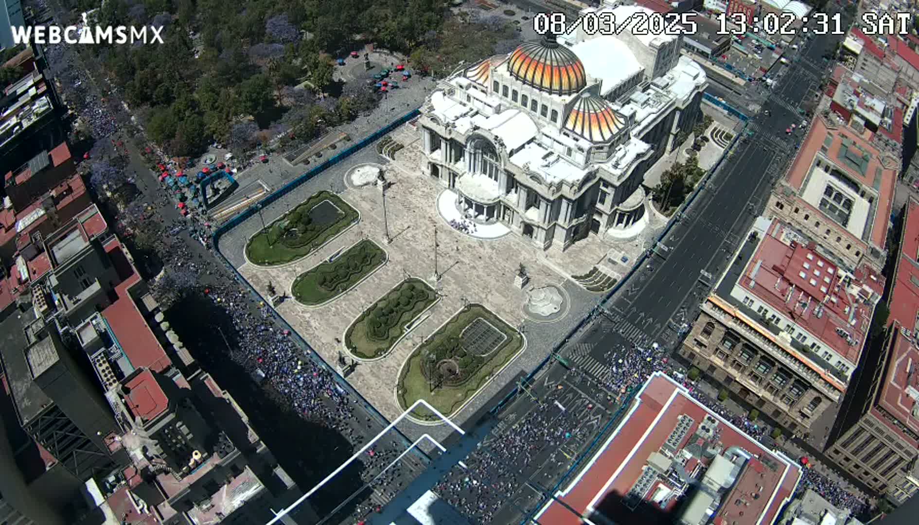 A large crowd of people marches along a city street, passing by a grand building with a dome, under a sunny sky.