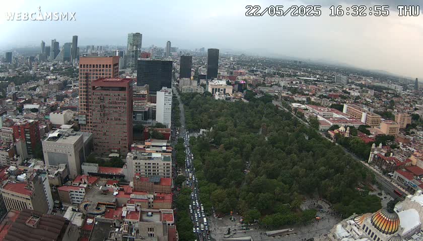 A high-angle, long shot on an overcast day shows a large city with a long park in the middle, and a wide avenue lined with cars leading to it.