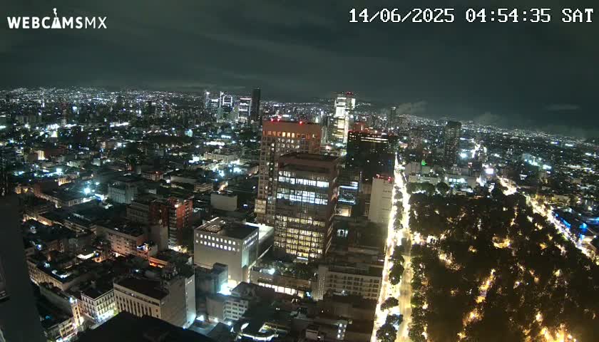 A nighttime aerial view of a city illuminated by lights, with a tree-lined avenue cutting through the urban landscape under a partly cloudy sky.