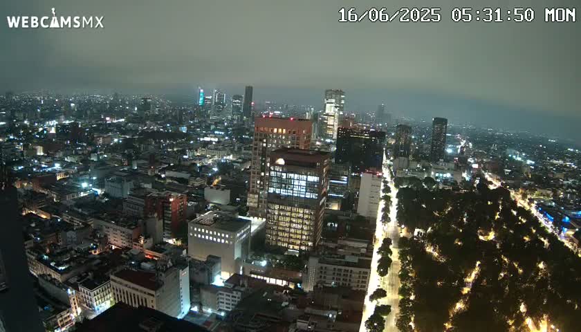 A nighttime, high-angle view of a sprawling city illuminated by lights, with a wide tree-lined avenue cutting through the urban landscape under a hazy sky.