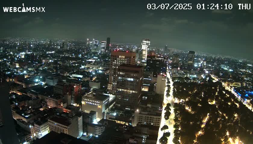 A nighttime aerial view of a city with a long, tree-lined avenue illuminated by streetlights.