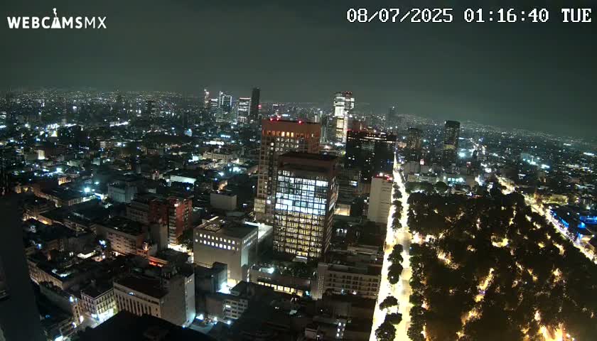 A nighttime aerial view of a city with illuminated buildings and streets, showing a large park with trees lining a brightly lit avenue.
