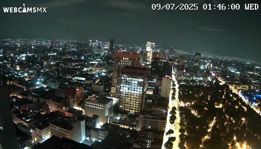 A nighttime aerial view of a brightly lit city with a long, tree-lined avenue cutting through it.